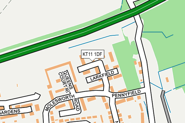 KT11 1DF map - OS OpenMap – Local (Ordnance Survey)