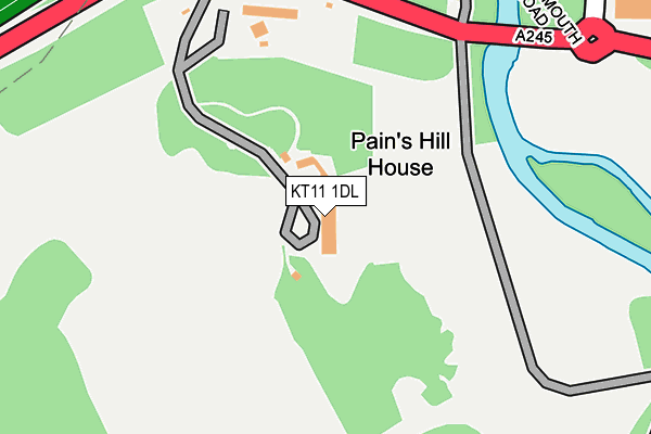 KT11 1DL map - OS OpenMap – Local (Ordnance Survey)