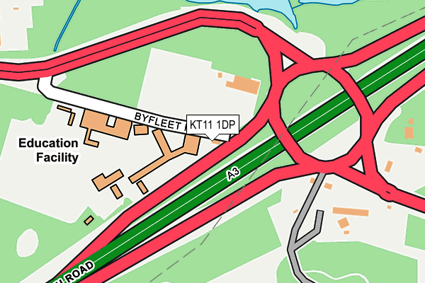 KT11 1DP map - OS OpenMap – Local (Ordnance Survey)
