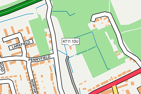 KT11 1DU map - OS OpenMap – Local (Ordnance Survey)