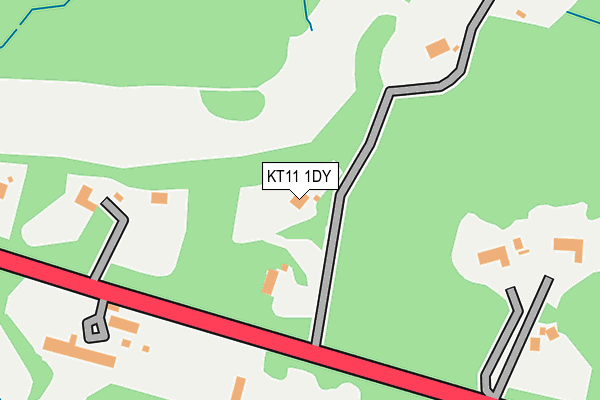KT11 1DY map - OS OpenMap – Local (Ordnance Survey)