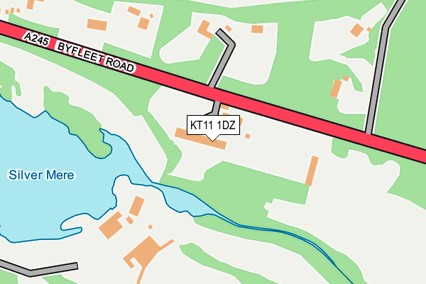 KT11 1DZ map - OS OpenMap – Local (Ordnance Survey)