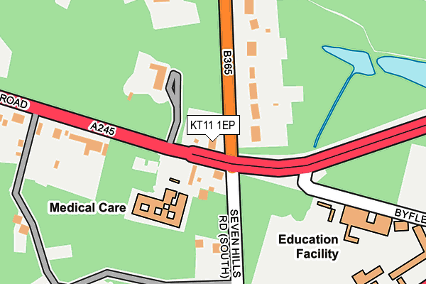 KT11 1EP map - OS OpenMap – Local (Ordnance Survey)