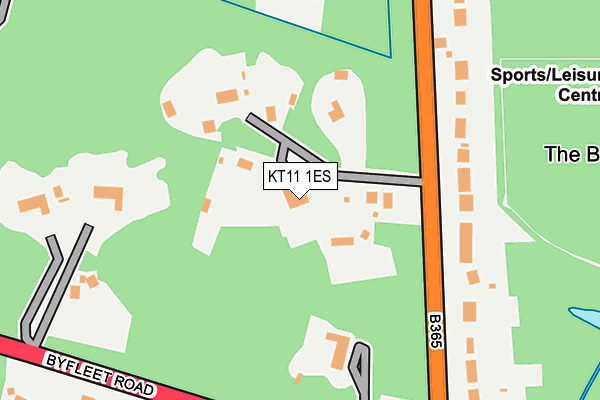 KT11 1ES map - OS OpenMap – Local (Ordnance Survey)