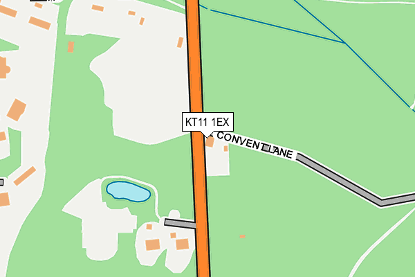 KT11 1EX map - OS OpenMap – Local (Ordnance Survey)