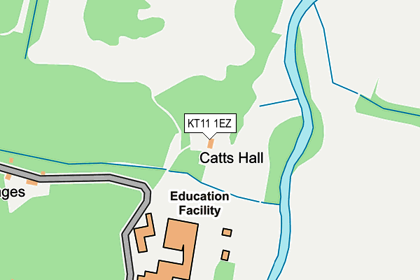 KT11 1EZ map - OS OpenMap – Local (Ordnance Survey)