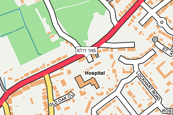 KT11 1HS map - OS OpenMap – Local (Ordnance Survey)