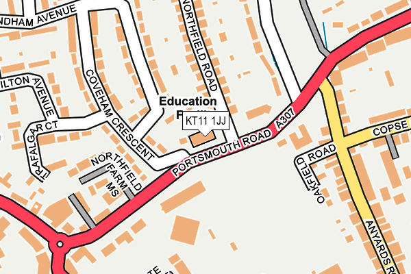 KT11 1JJ map - OS OpenMap – Local (Ordnance Survey)