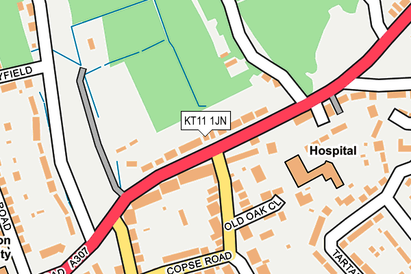 KT11 1JN map - OS OpenMap – Local (Ordnance Survey)