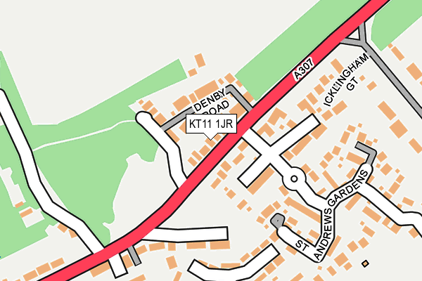 KT11 1JR map - OS OpenMap – Local (Ordnance Survey)