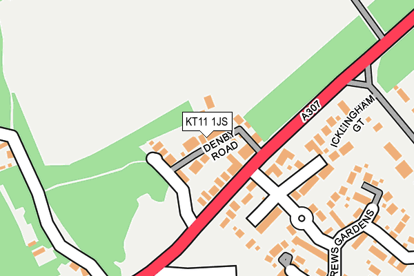 KT11 1JS map - OS OpenMap – Local (Ordnance Survey)