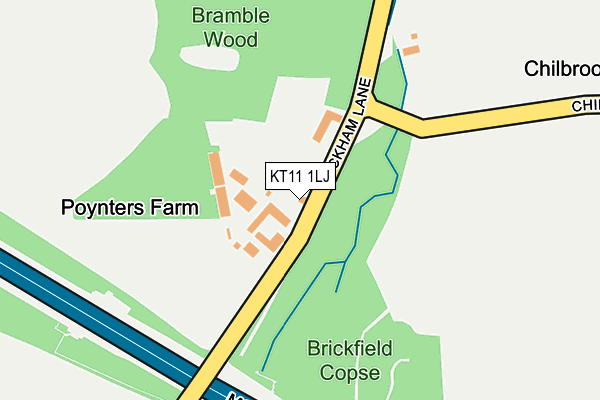 KT11 1LJ map - OS OpenMap – Local (Ordnance Survey)