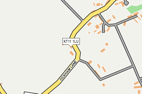 KT11 1LU map - OS OpenMap – Local (Ordnance Survey)