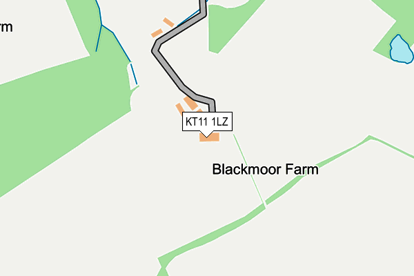 KT11 1LZ map - OS OpenMap – Local (Ordnance Survey)
