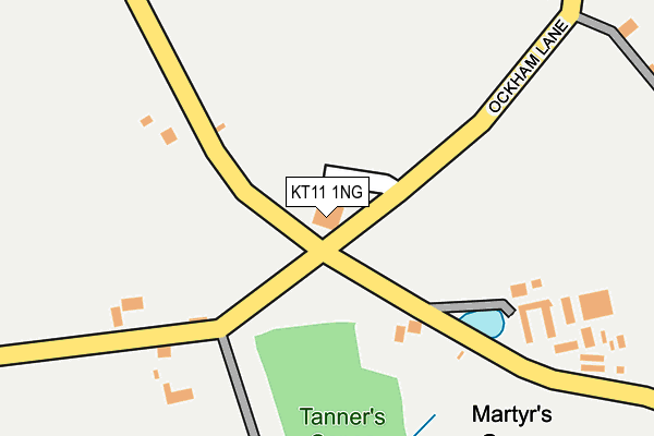 KT11 1NG map - OS OpenMap – Local (Ordnance Survey)