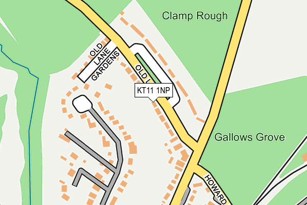 KT11 1NP map - OS OpenMap – Local (Ordnance Survey)