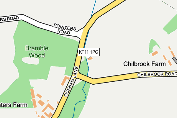 KT11 1PG map - OS OpenMap – Local (Ordnance Survey)
