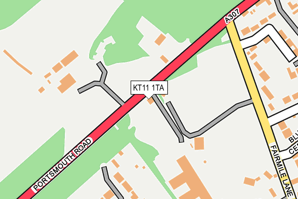 KT11 1TA map - OS OpenMap – Local (Ordnance Survey)