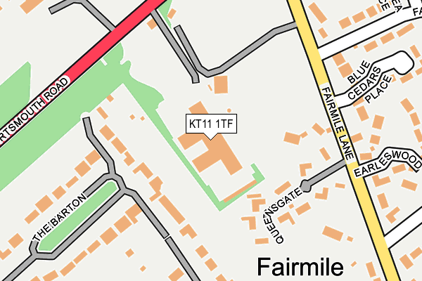 KT11 1TF map - OS OpenMap – Local (Ordnance Survey)