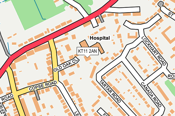 KT11 2AN map - OS OpenMap – Local (Ordnance Survey)