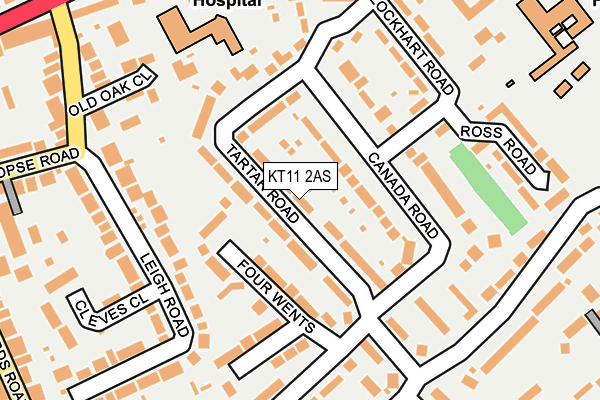 KT11 2AS map - OS OpenMap – Local (Ordnance Survey)