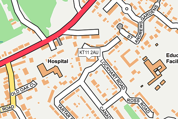 KT11 2AU map - OS OpenMap – Local (Ordnance Survey)