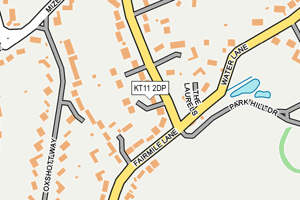 KT11 2DP map - OS OpenMap – Local (Ordnance Survey)