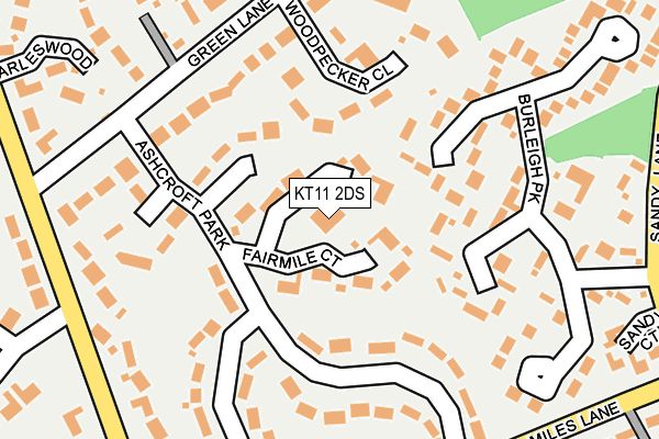 KT11 2DS map - OS OpenMap – Local (Ordnance Survey)