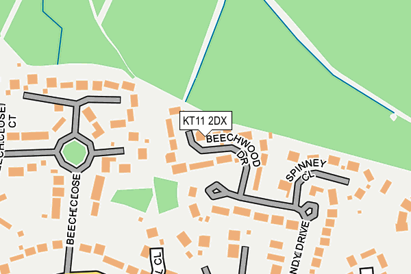 KT11 2DX map - OS OpenMap – Local (Ordnance Survey)