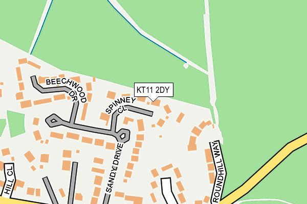 KT11 2DY map - OS OpenMap – Local (Ordnance Survey)