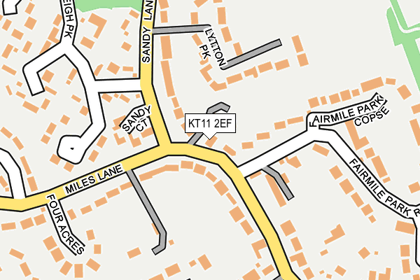 KT11 2EF map - OS OpenMap – Local (Ordnance Survey)