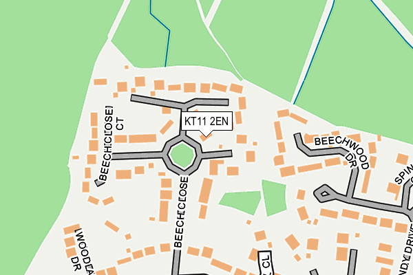 KT11 2EN map - OS OpenMap – Local (Ordnance Survey)