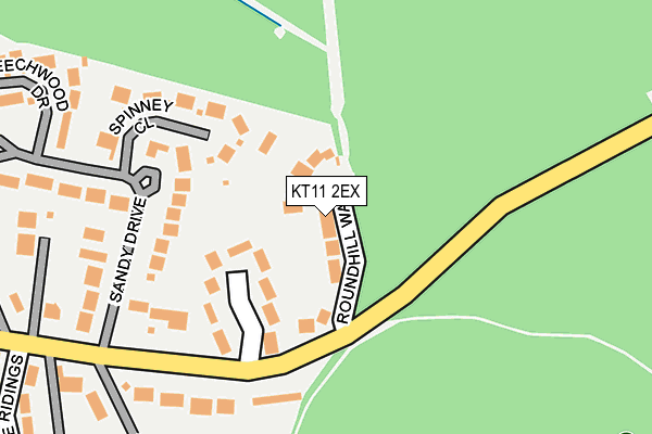 KT11 2EX map - OS OpenMap – Local (Ordnance Survey)