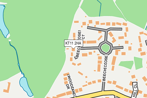 KT11 2HA map - OS OpenMap – Local (Ordnance Survey)