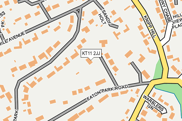 KT11 2JJ map - OS OpenMap – Local (Ordnance Survey)