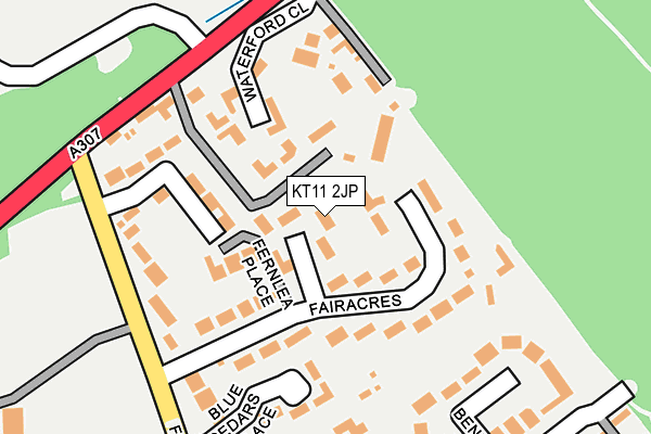 KT11 2JP map - OS OpenMap – Local (Ordnance Survey)