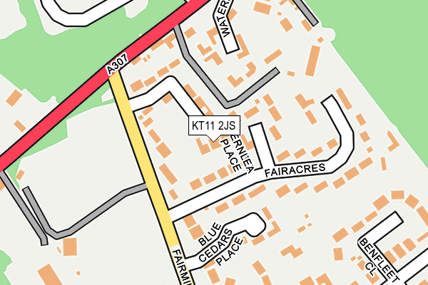 KT11 2JS map - OS OpenMap – Local (Ordnance Survey)