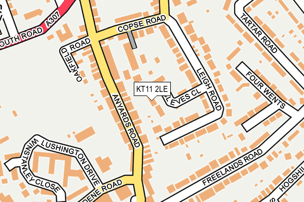 KT11 2LE map - OS OpenMap – Local (Ordnance Survey)
