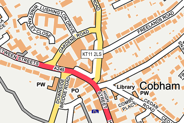 KT11 2LS map - OS OpenMap – Local (Ordnance Survey)