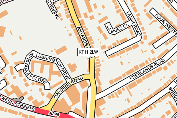 KT11 2LW map - OS OpenMap – Local (Ordnance Survey)