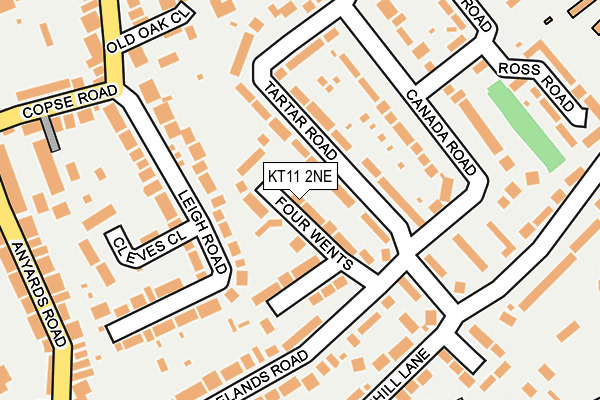 KT11 2NE map - OS OpenMap – Local (Ordnance Survey)