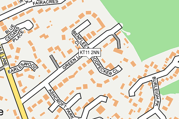 KT11 2NN map - OS OpenMap – Local (Ordnance Survey)