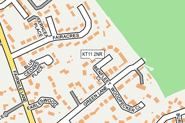 KT11 2NR map - OS OpenMap – Local (Ordnance Survey)