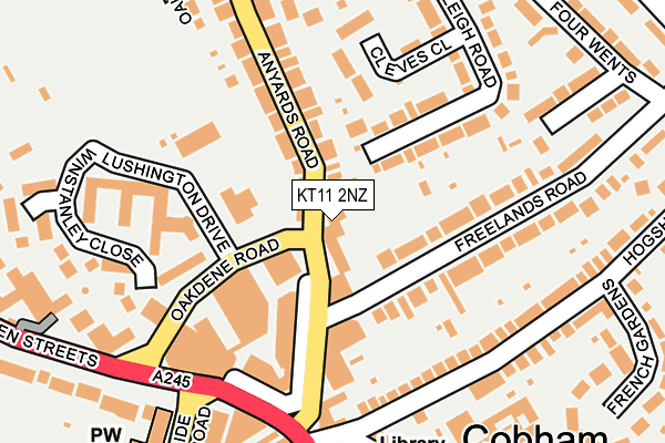 KT11 2NZ map - OS OpenMap – Local (Ordnance Survey)