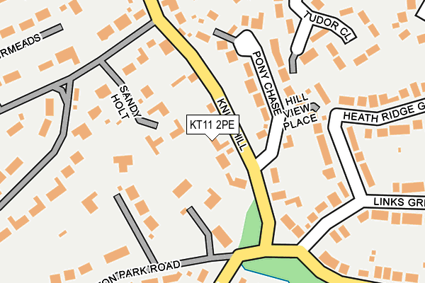 KT11 2PE map - OS OpenMap – Local (Ordnance Survey)