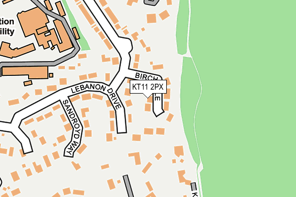 KT11 2PX map - OS OpenMap – Local (Ordnance Survey)