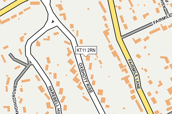KT11 2RN map - OS OpenMap – Local (Ordnance Survey)