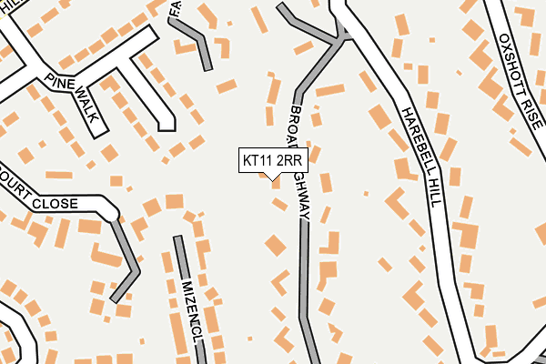 KT11 2RR map - OS OpenMap – Local (Ordnance Survey)