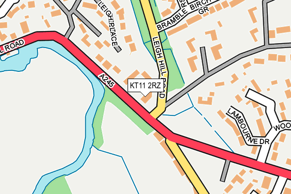 KT11 2RZ map - OS OpenMap – Local (Ordnance Survey)