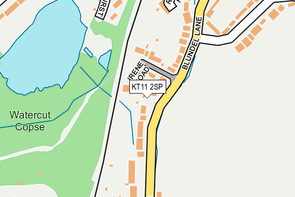 KT11 2SP map - OS OpenMap – Local (Ordnance Survey)
